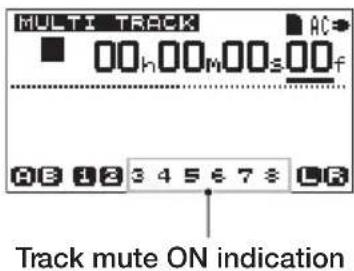 MULTI TRACK 00h 00m 00s 00f Track mute ON indication