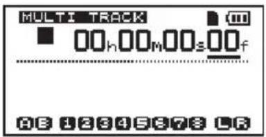 MULTI TRACK 00h 00M 00s 00f 08 12345678 LR