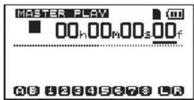 MASTER PLAY 00h 00M 00s 00f HB 12845678 LF