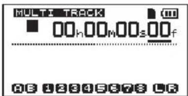 MULTI TRACK 00h 00m 00s 00f AB 12345678 LR