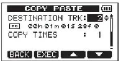 COPY PASTE DESTINATION TRK: 2 00h 01m 013 28+ 0 COPY TIMES : 1 BACK EXEC