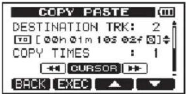 COPY PASTE DESTINATION TRK: 2 [00h 01m 10s 02f] COPY TIMES : 1 * * * * * * * * * * * BACK EXEC ▲ ▼