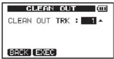 CLEAN OUT CLEAN OUT TRK : 1 BACK EXEC
