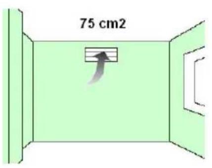 75 cm2