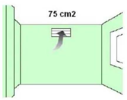 75 cm2