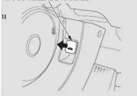 Honda Civic GX (2008) - Opening and Closing the Hood - 1