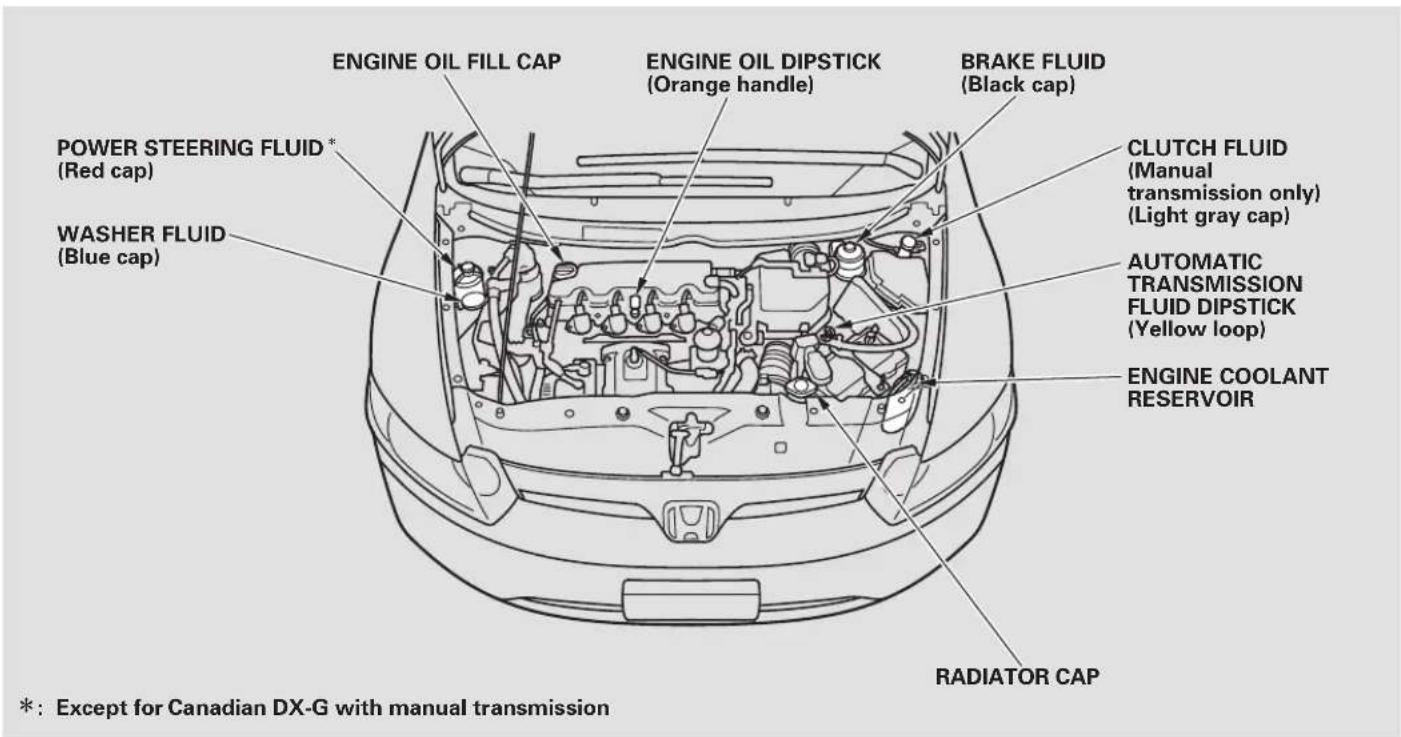 Honda Civic GX (2008) - Fluid Locations - 1