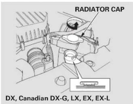 Honda Civic GX (2008) - WARNING - 1