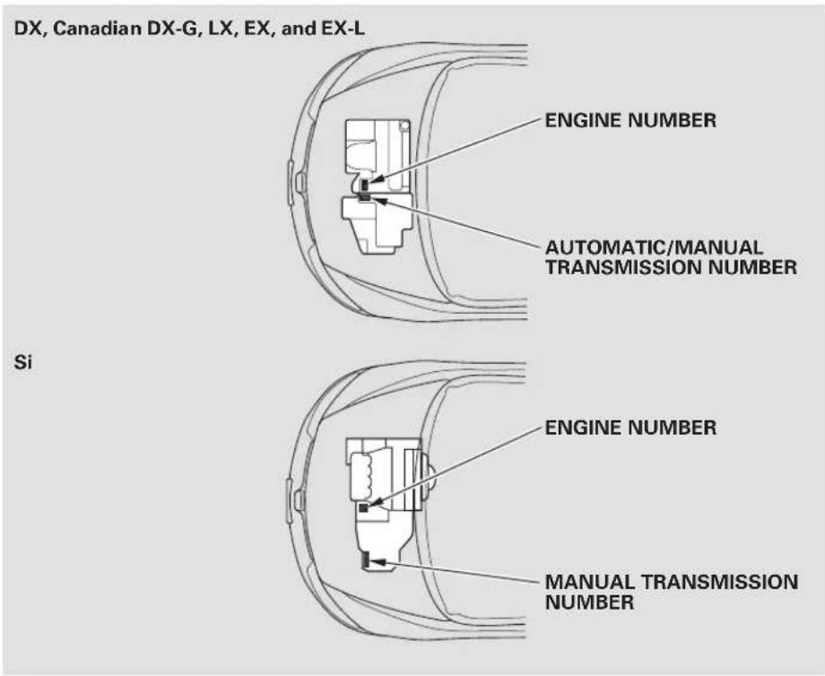 Honda Civic GX (2008) - Identification Numbers - 2