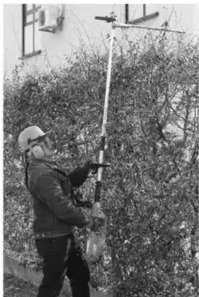 FLORABEST FHL 900 B3 - ÉLONGÉREACHÉHEDGEÉTRIMMERÉFHLÉ900ÉB3 - 4
