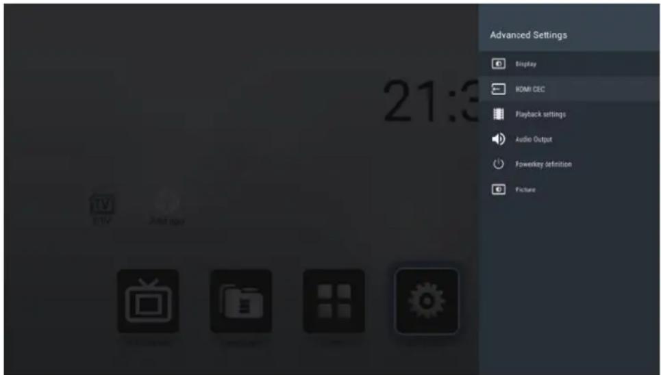 Advanced Settings Display HDMI CEC Playback settings Audio Output Powerkey definition Picture