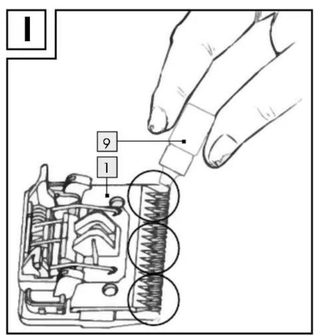 ZOOFARI ZTSD 36 C2 - CE - 5