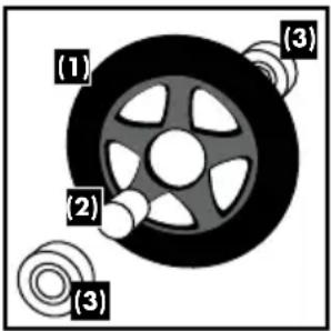 (1) (2) (3) (3)