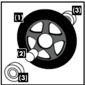 (1) (2) (3) (3)