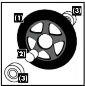 (1) (2) (3) (3)