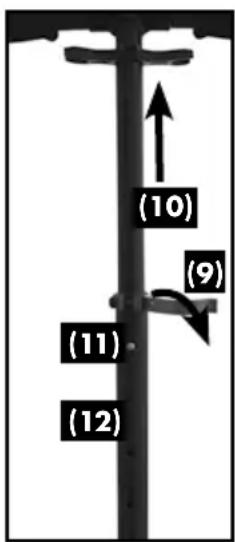 (10) (9) (11) (12)