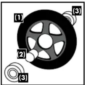 (1) (2) (3) (3)