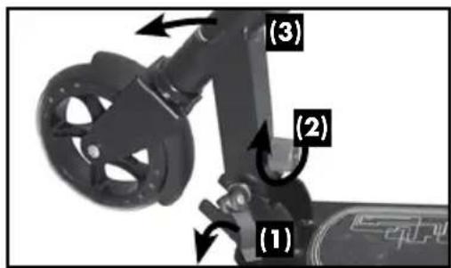 (1) (2) (3)