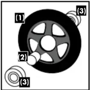 (1) (2) (3) (3)