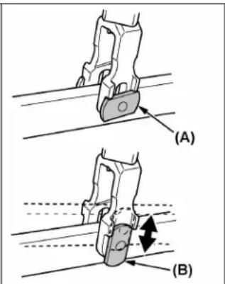 (A) (B)