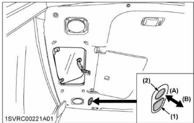 1SVRC00221A01 (2) (A) (B) (1)