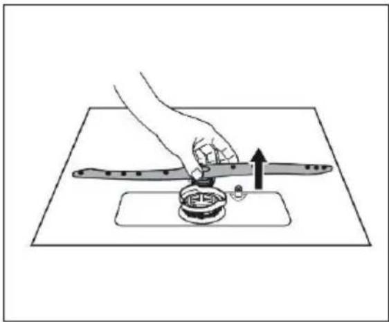 Concept MNV7760DS - Cleaning the spray arms - 2