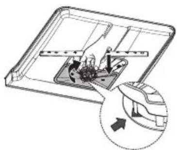Concept MNV8060DS - UWAGA! - 1