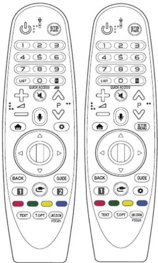 LG 49UK6300MLB - Using Magic Remote Control - 1