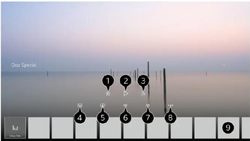 LG OLED55B13LA - Playing Recordings - 1