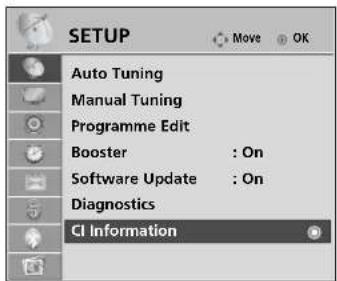 LG 37LG7000 - CI [COMMON INTERFACE] INFORMATION - 1