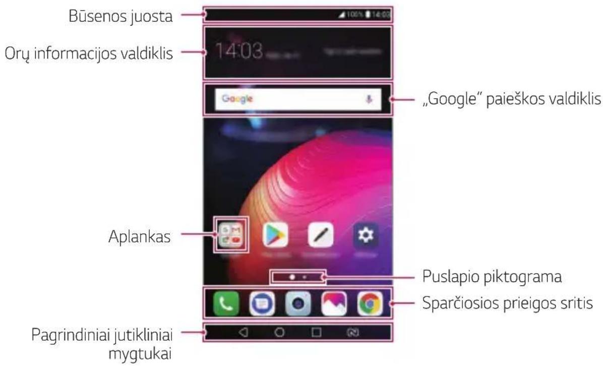 Būsenos juosta Orų informacijos valdiklis 14:03 Google „Google" paieškos valdiklis Aplankas Puslapio piktograma Sparčiosios prieigos sritis Pagrindiniai jutikliniai mygtukai