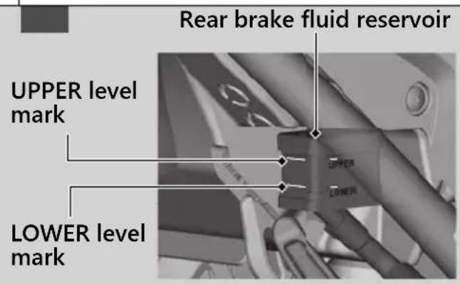 Honda NC750XA (2020) - Checking Brake Fluid - 2