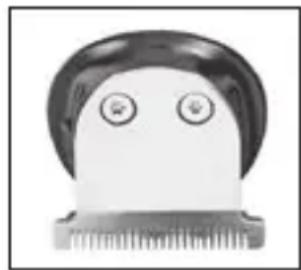 ECG GRS 5540 CC - Trimming fine hair - 1