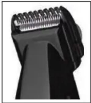 ECG GRS 4520 - Shaping the beard - 1