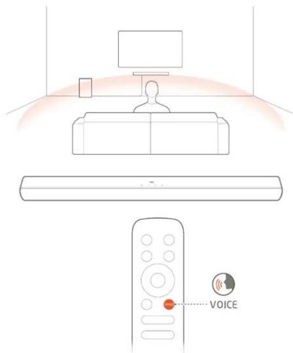 VOICE