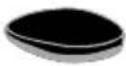 TEKA SteakMaster BX - IMPORTANT - 6