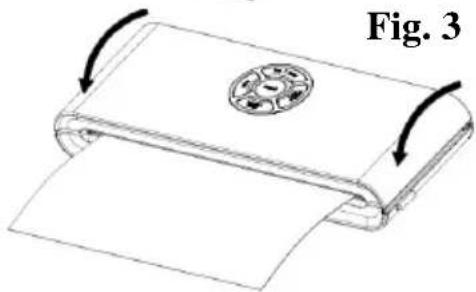 Fig. 3