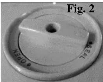 Fig. 2 SEM10
