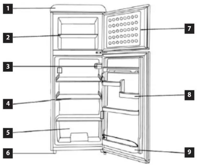 Concept LFTR4555RDR - OPIS PRODUKTU - 1