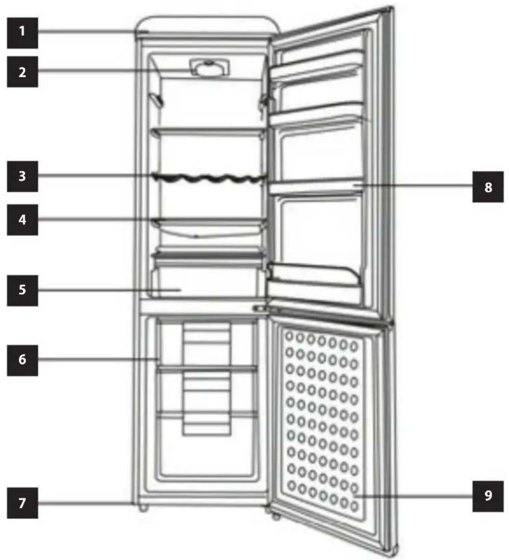 Concept LKR3455BER - OPIS PRODUKTU - 1