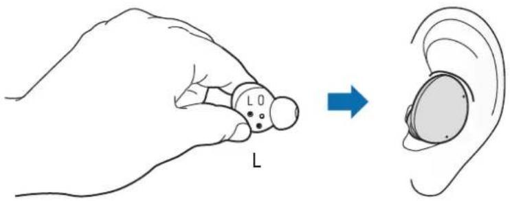 L L0