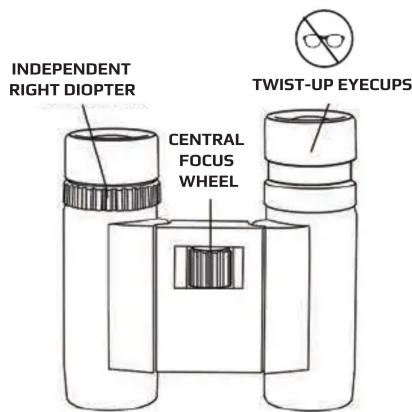 INDEPENDENT RIGHT DIOPTER CENTRAL FOCUS WHEEL TWIST-UP EYECUPS