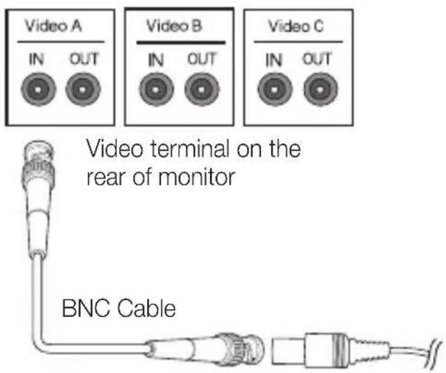 Video A IN OUT Video B IN OUT Video C IN OUT Video terminal on the rear of monitor BNC Cable