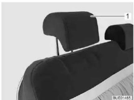 Bürstner Nexxo Van (2014) - Headrests - 2