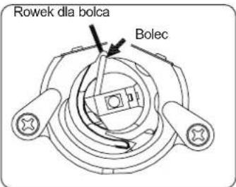 Rowek dla bolca Bolec