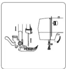 Guzzanti GZ 115A - Nadelaustausch - 1