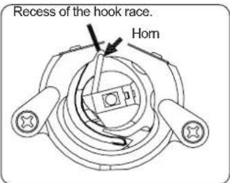 Recess of the hook race. Hom