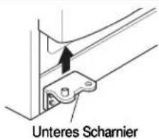 Unteres Scharnier