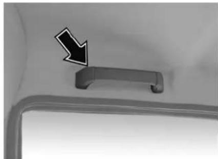 Tata Sumo - Grab handles : - 1