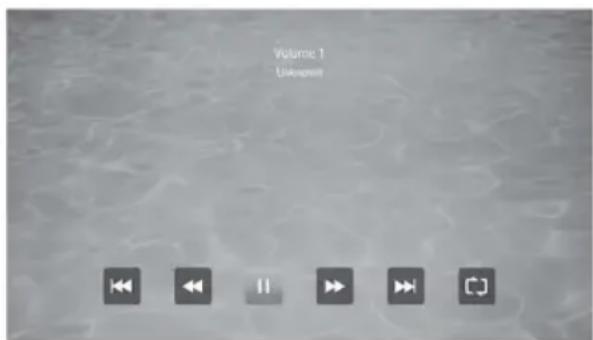 Volume 1 Unknown